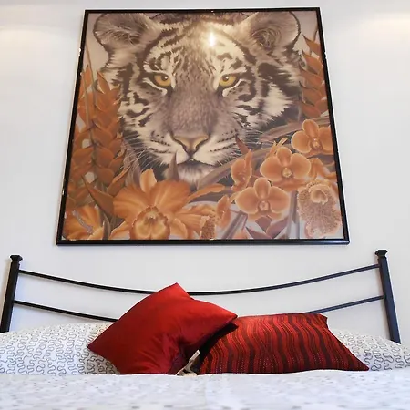 La Collina D'oro Tatil Evi